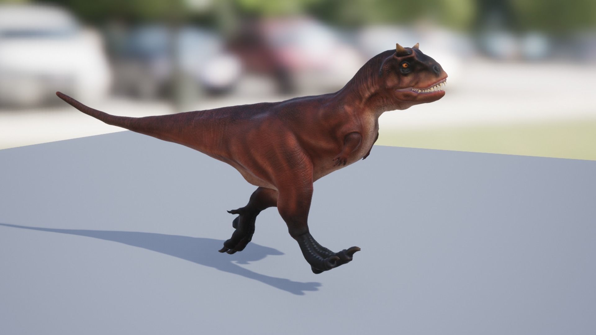 Carnotaurus  Low-poly 3D model_13