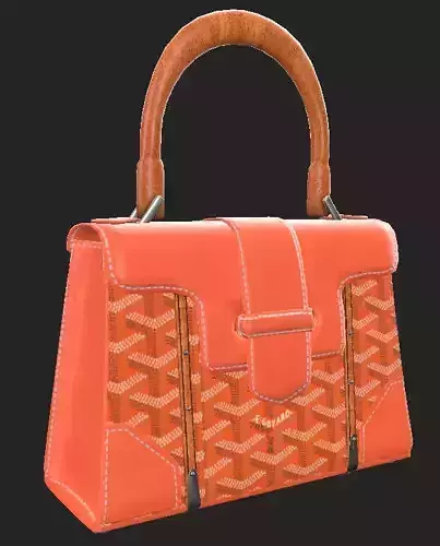 Goyard Bag 
