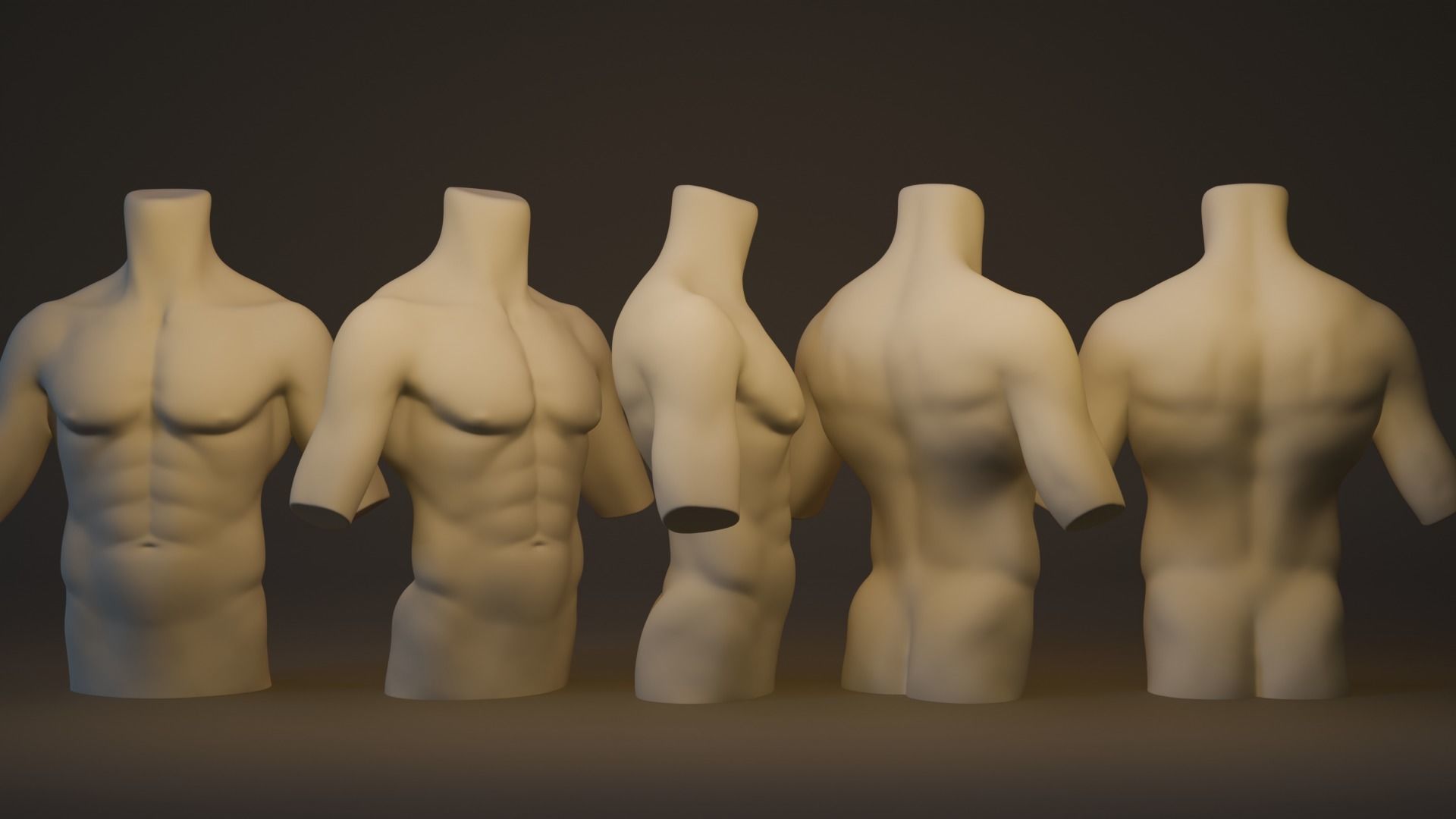 Torso Male 3D model_2