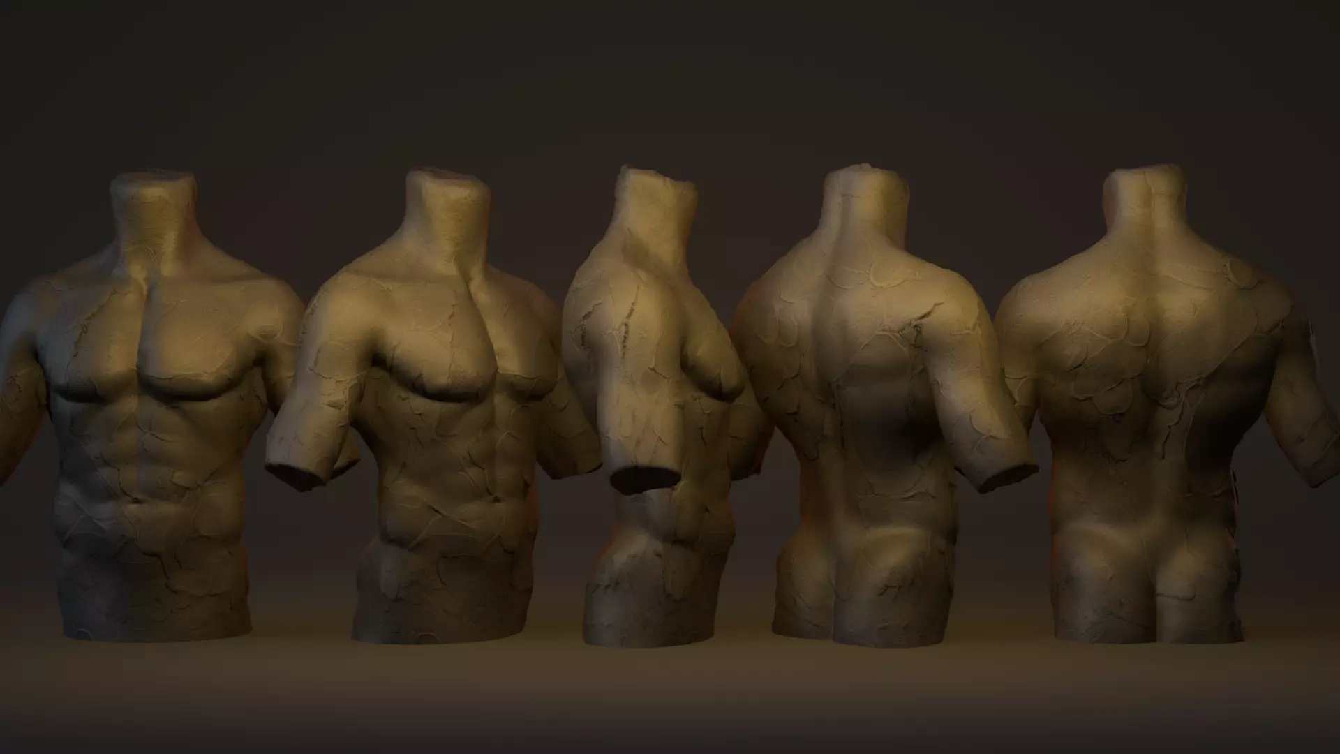 Torso Male 3D model_0