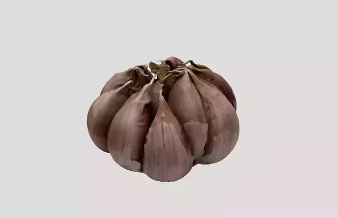 Garlic bulb