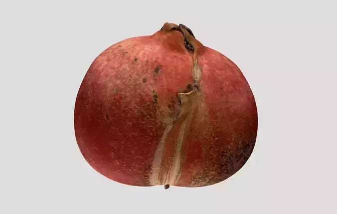 Pomegranate Fruit - HD Scan