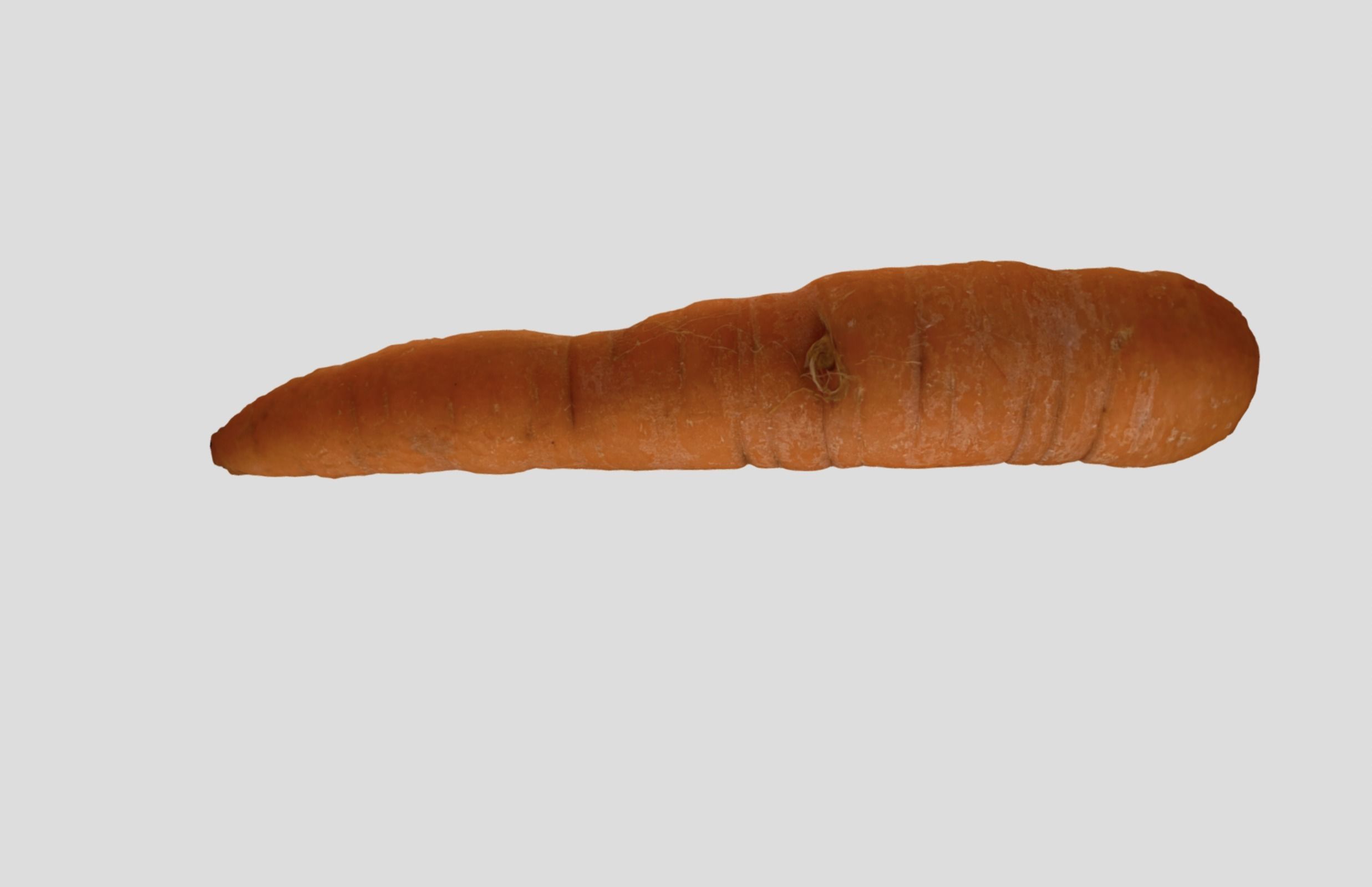 Carrot - A high quality scan 3D model_12