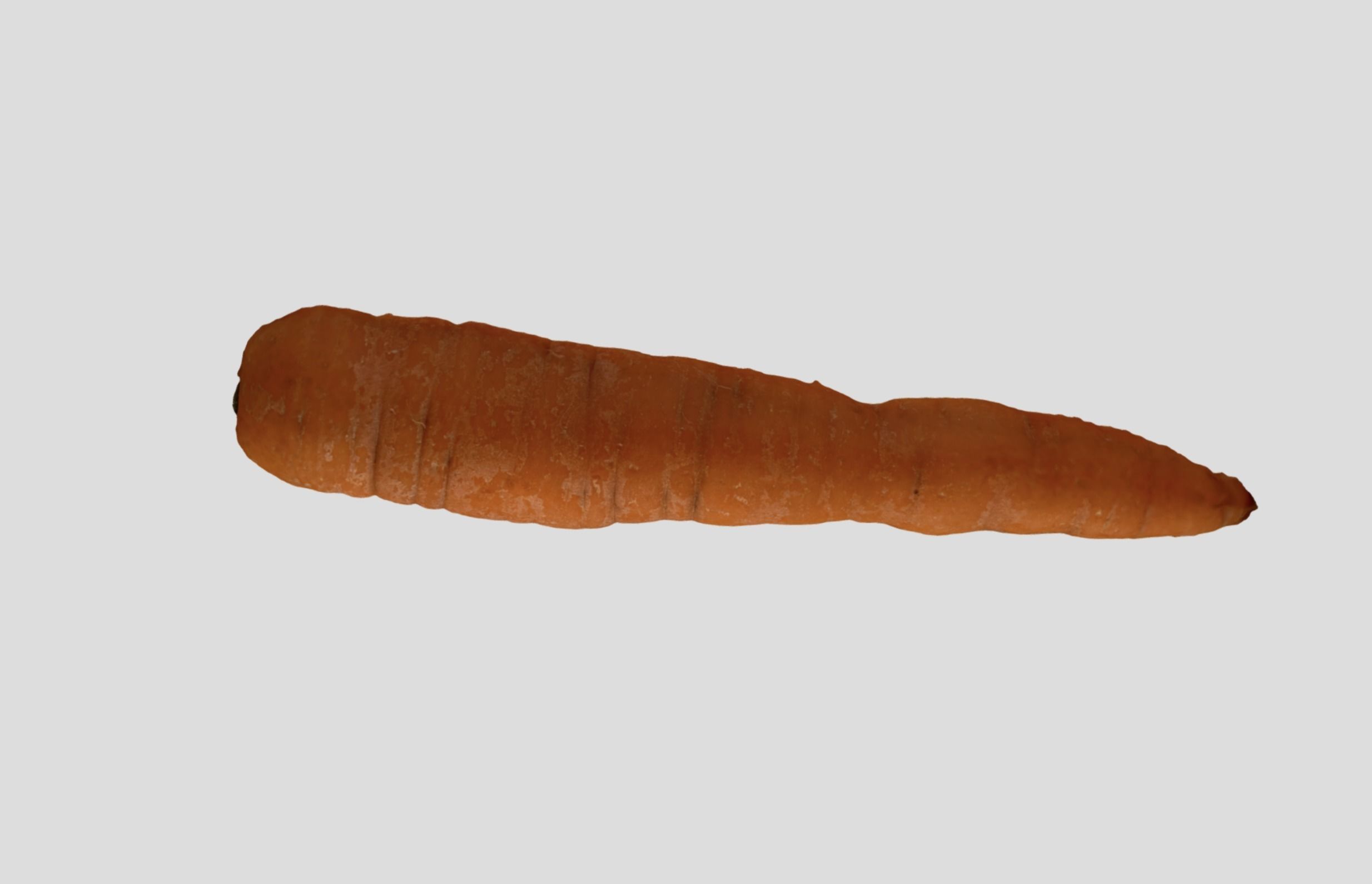 Carrot - A high quality scan 3D model_4