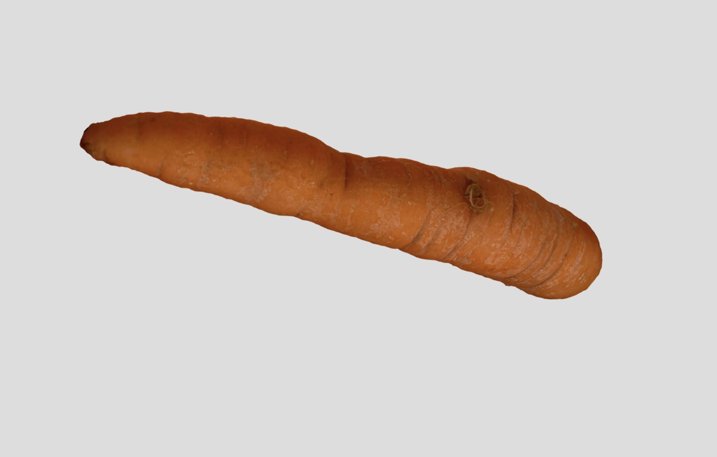 Carrot - A high quality scan 3D model_6