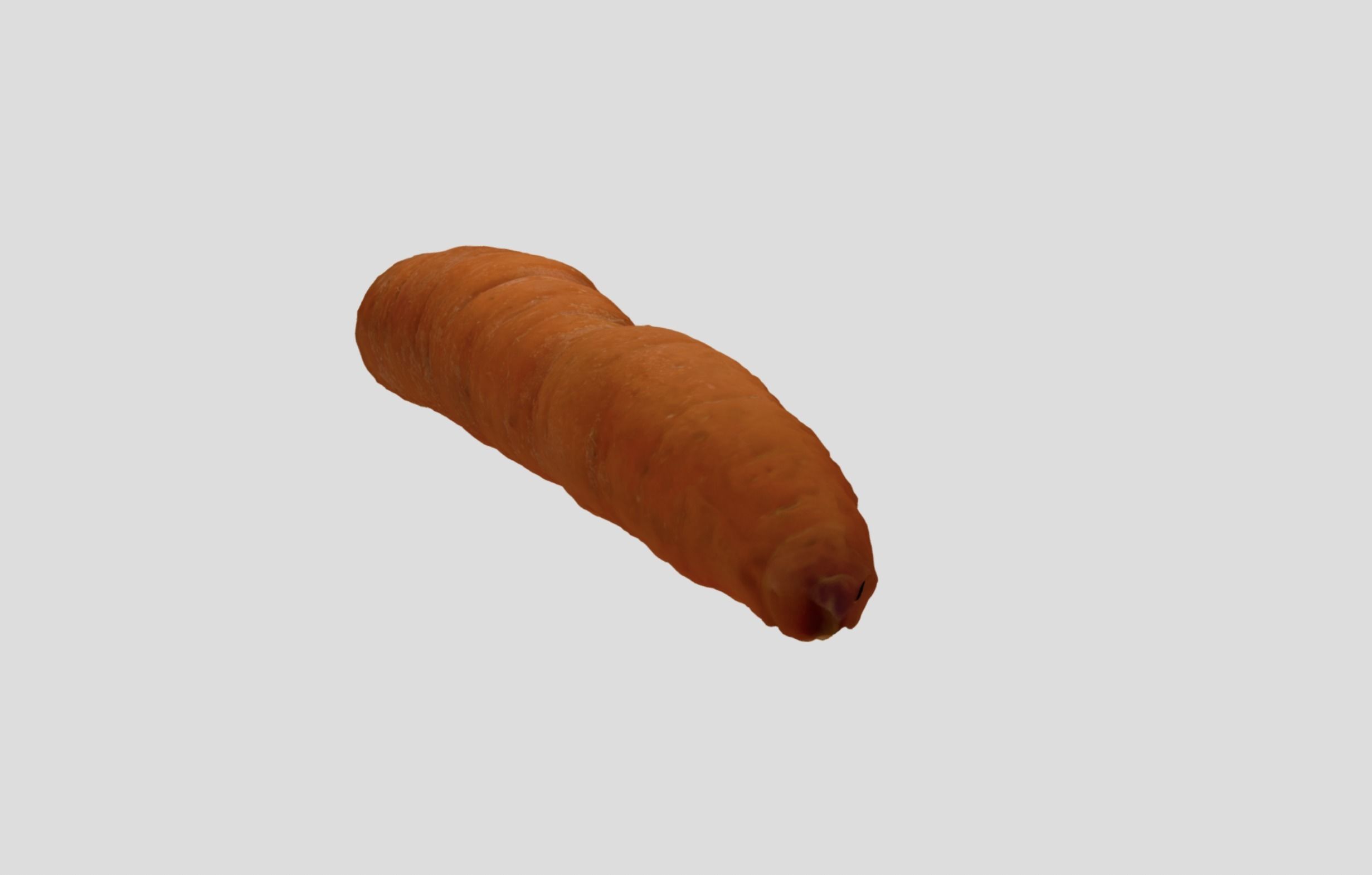 Carrot - A high quality scan 3D model_10