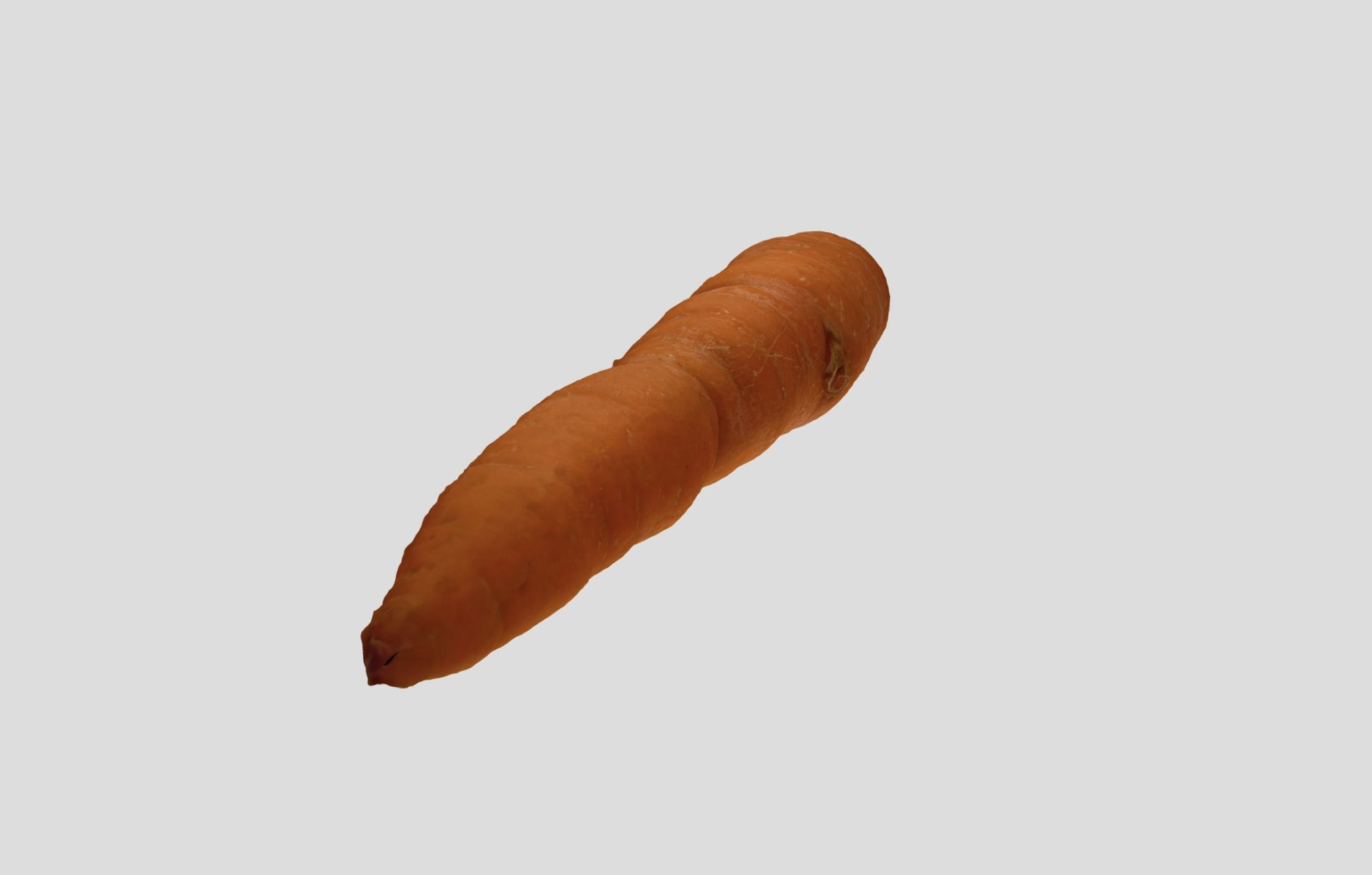 Carrot - A high quality scan 3D model_11