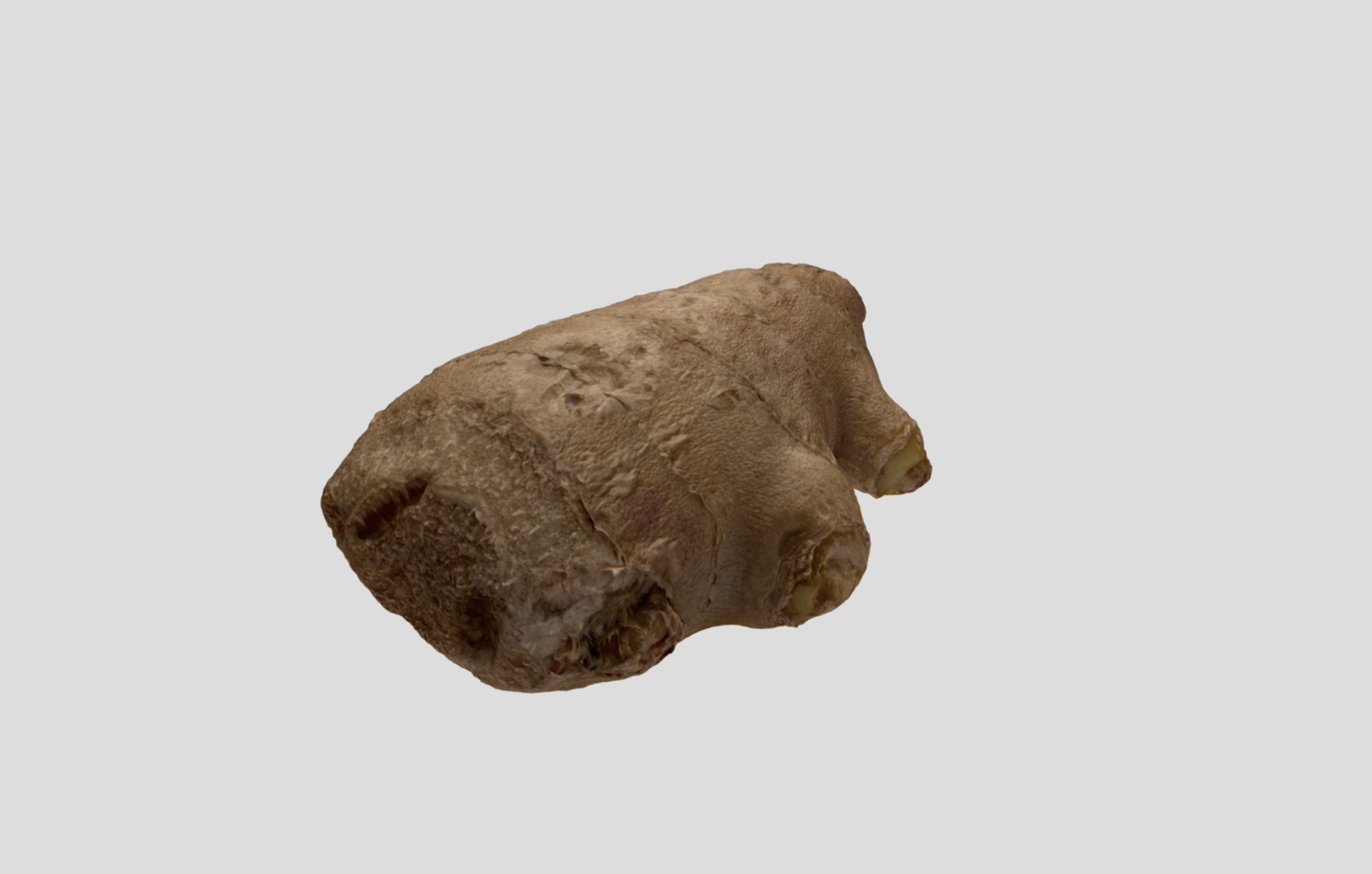 Ginger Root 3D model_10