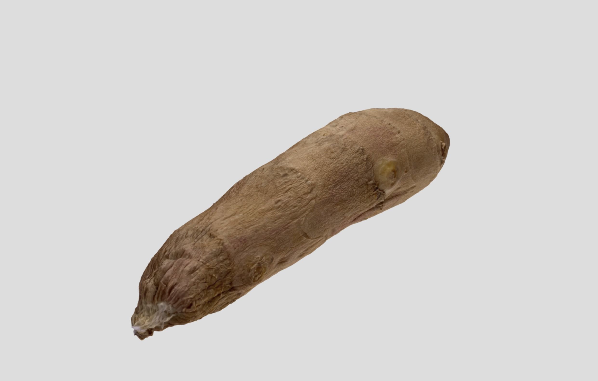 Ginger Root 3D model_4