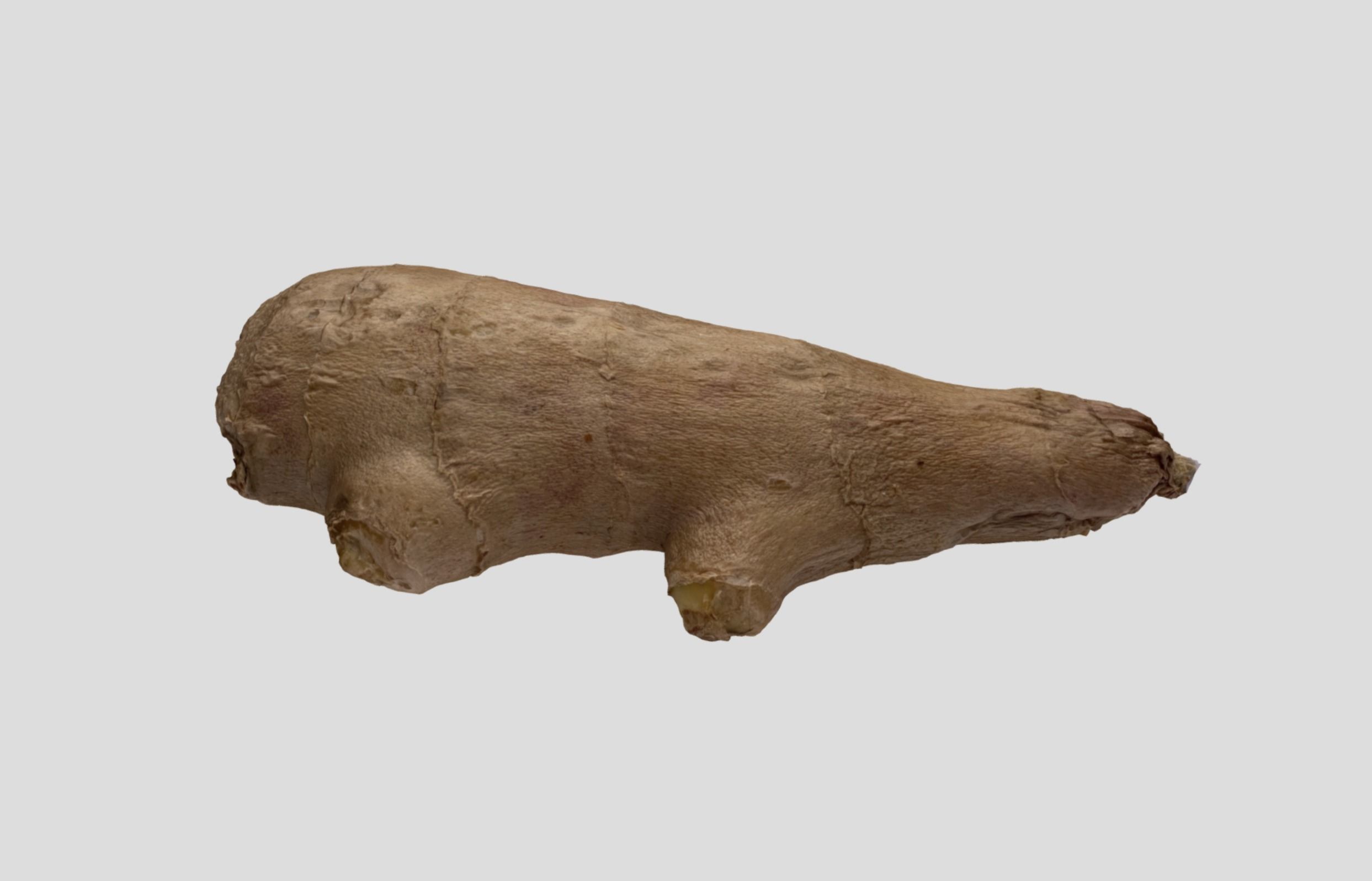 Ginger Root 3D model_1