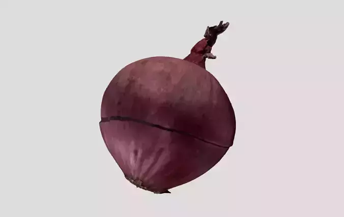 Red Onion 3D model