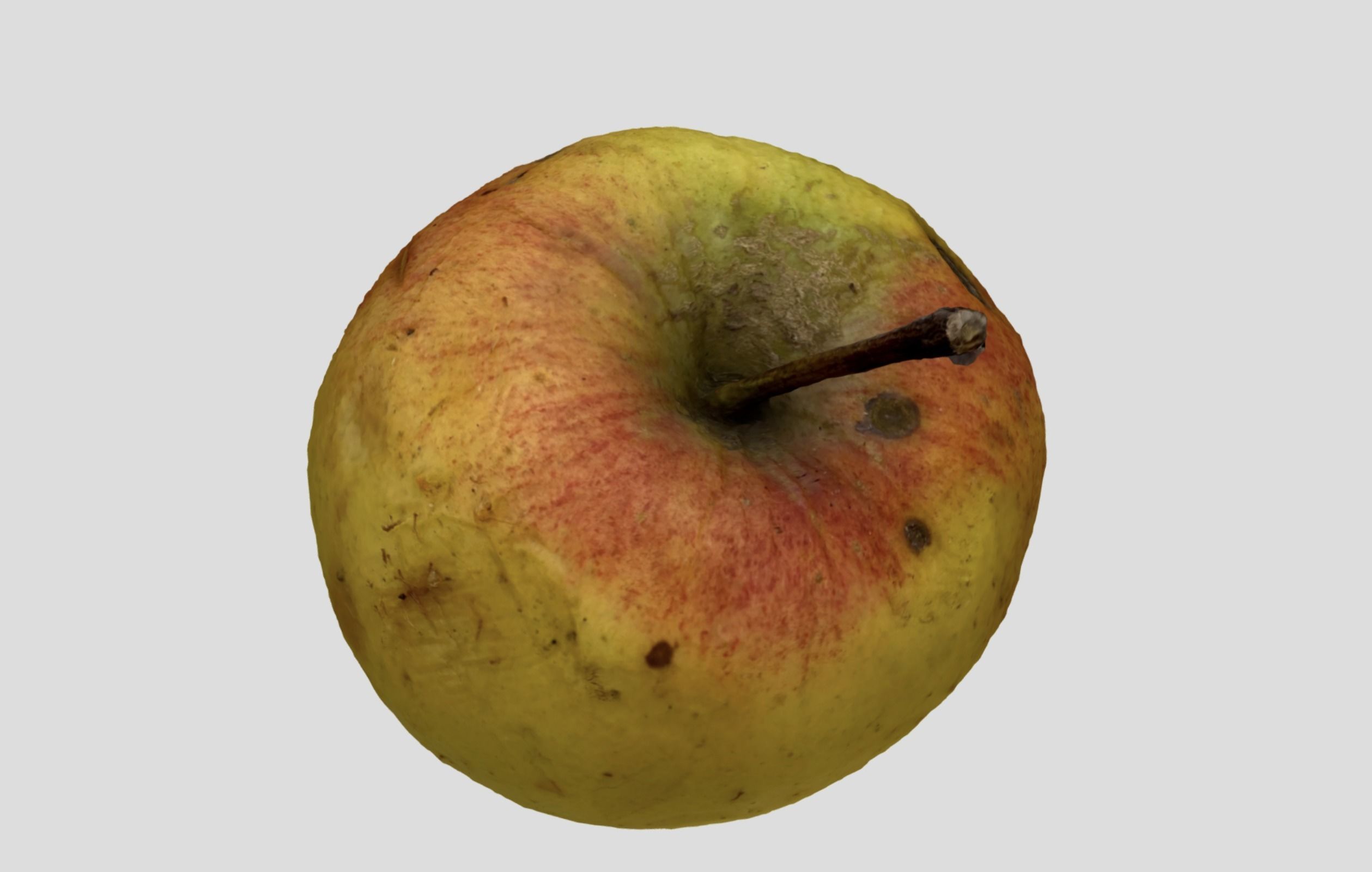 Rotten Apple 3D model_10
