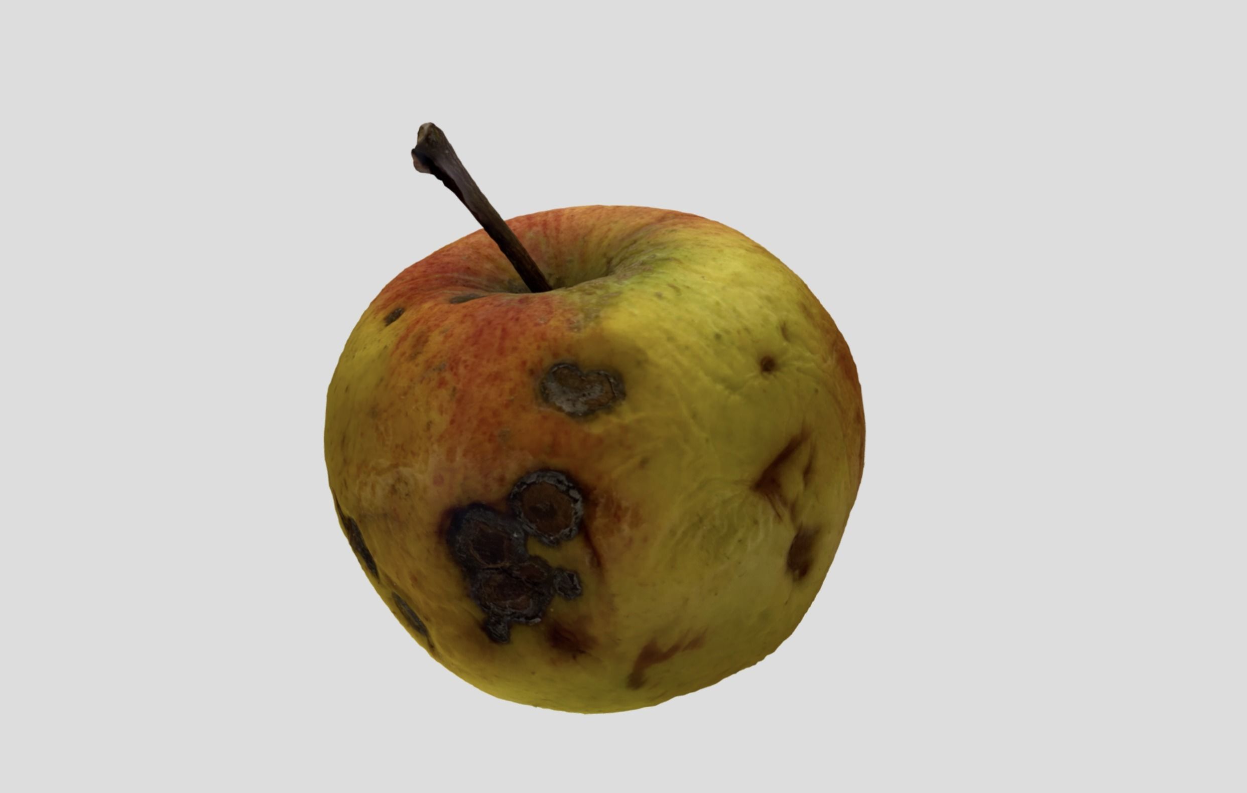 Rotten Apple 3D model_2