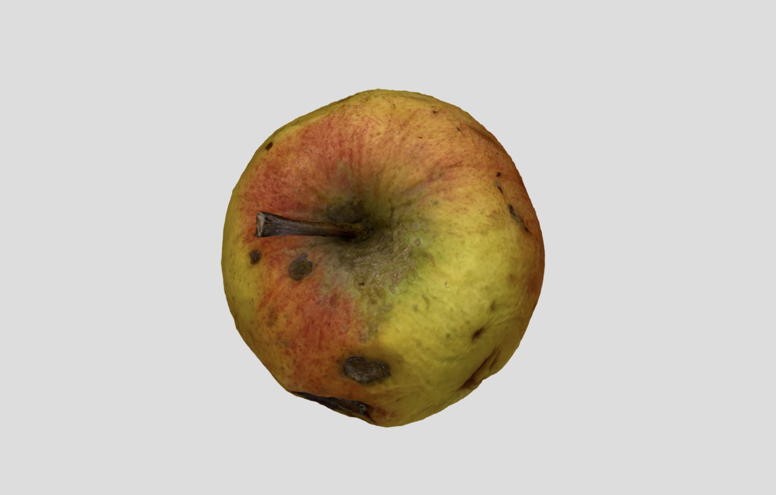 Rotten Apple 3D model_9