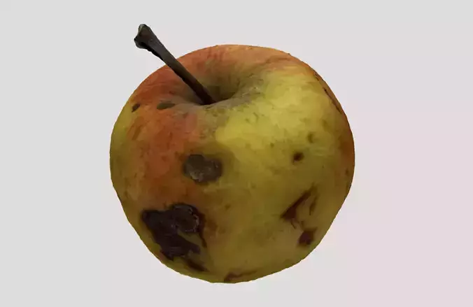 Rotten Apple 3D model