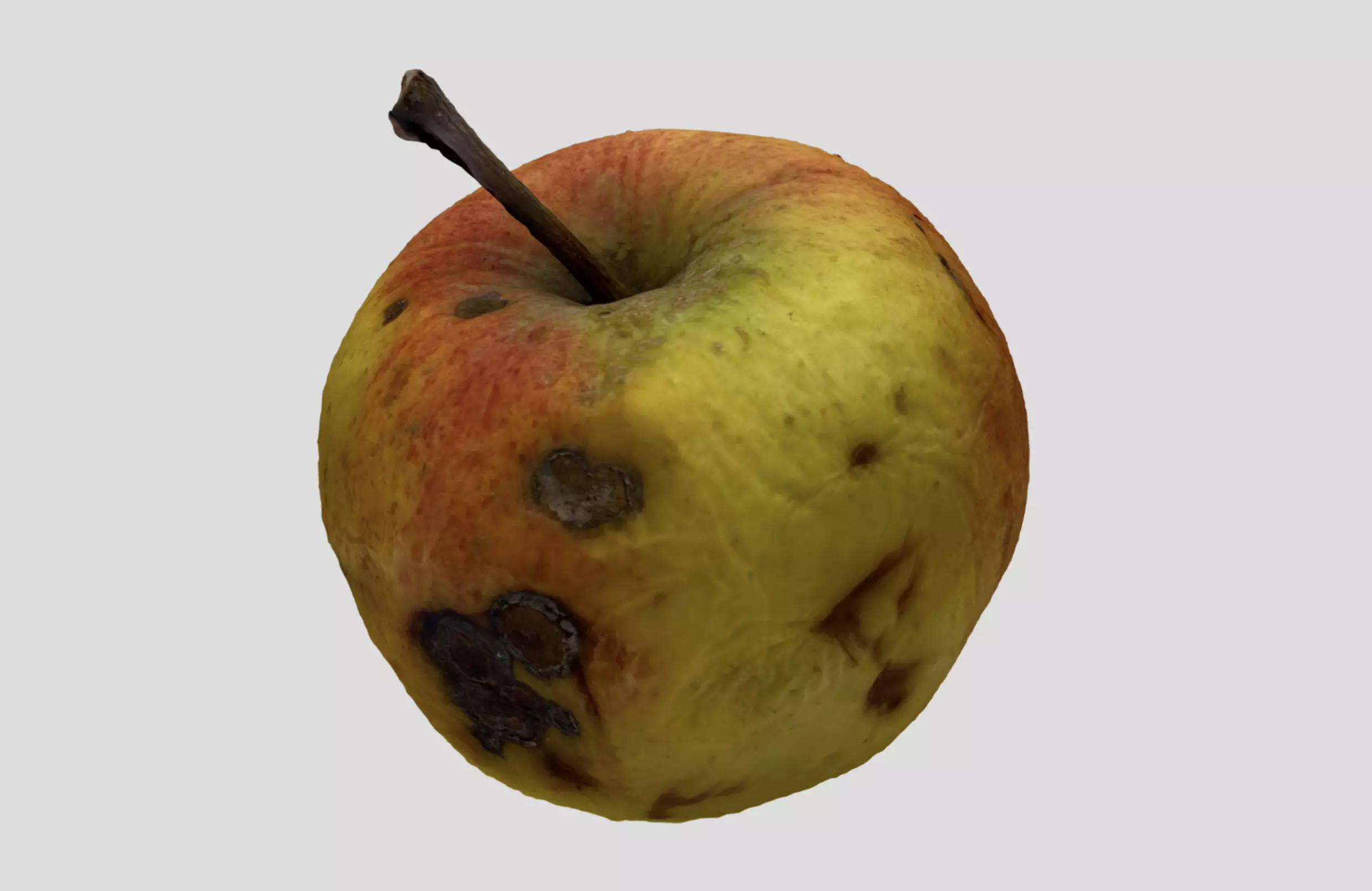 Rotten Apple 3D model_0