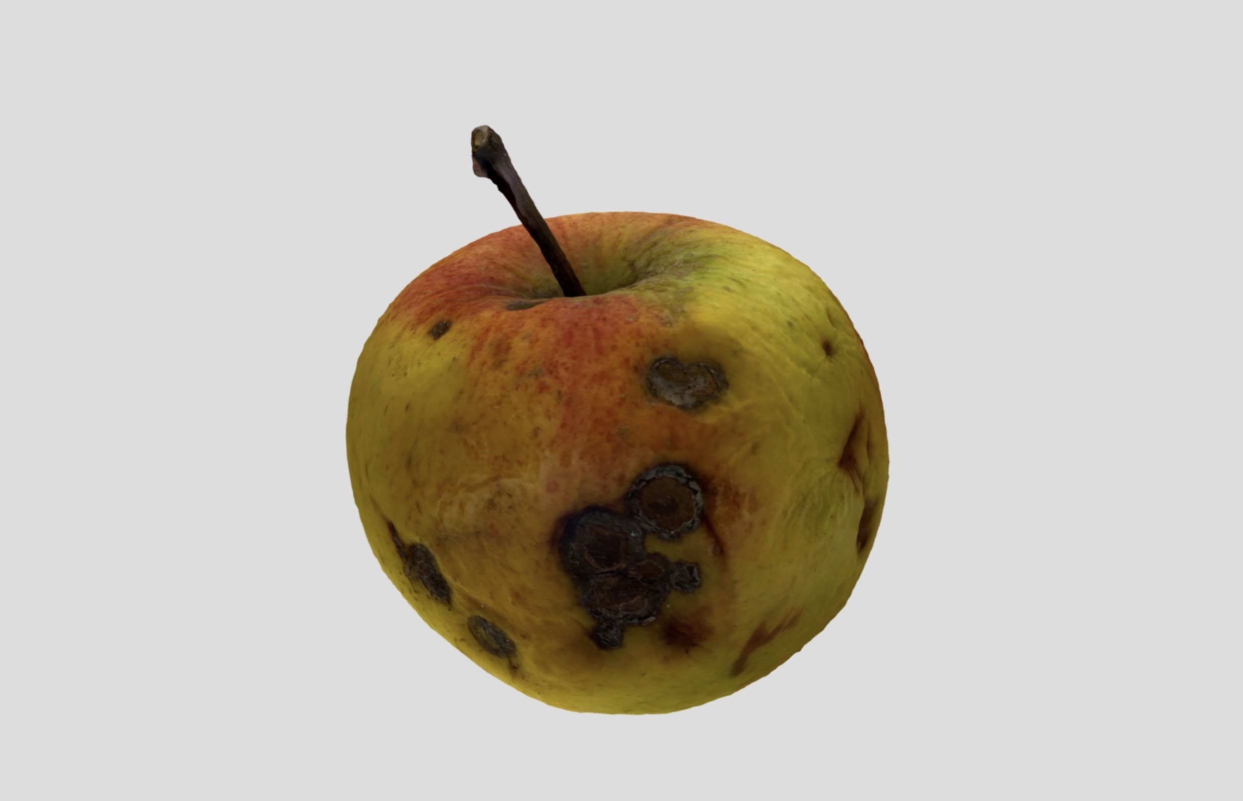 Rotten Apple 3D model_5