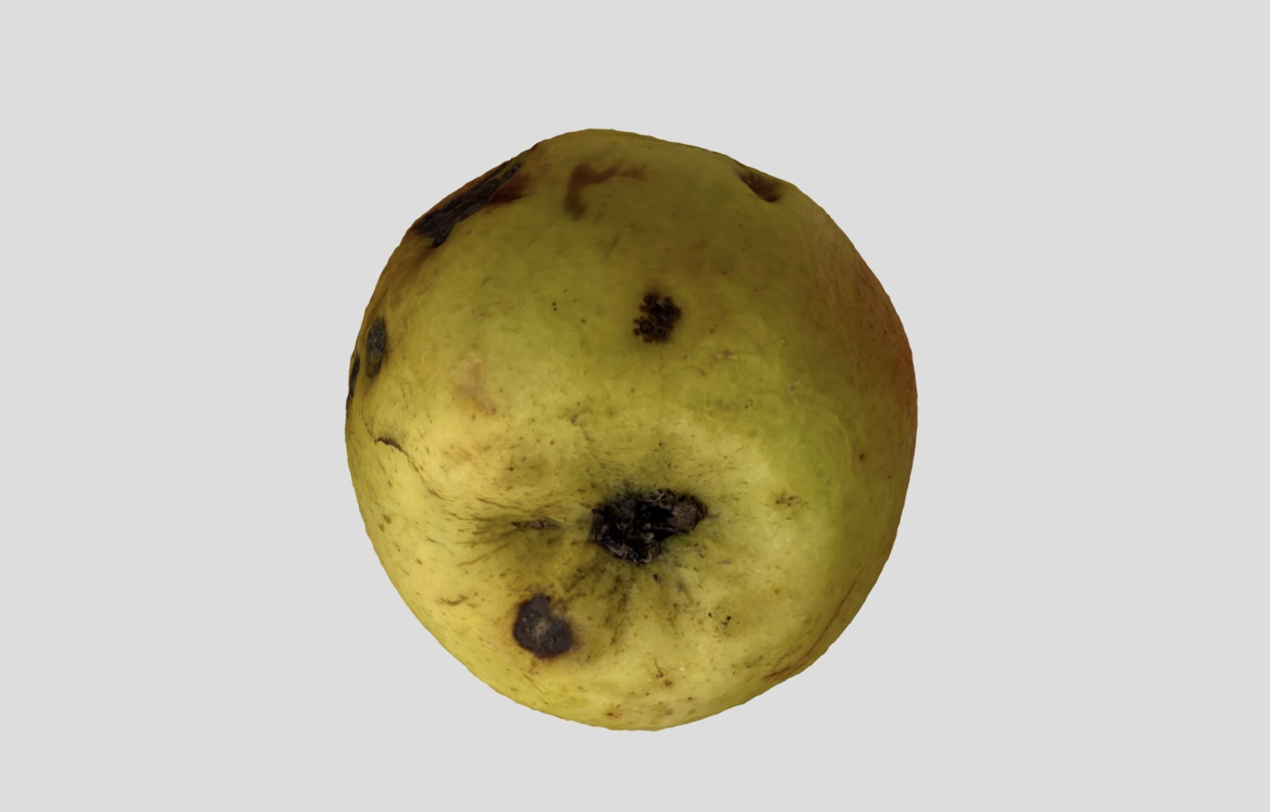 Rotten Apple 3D model_7