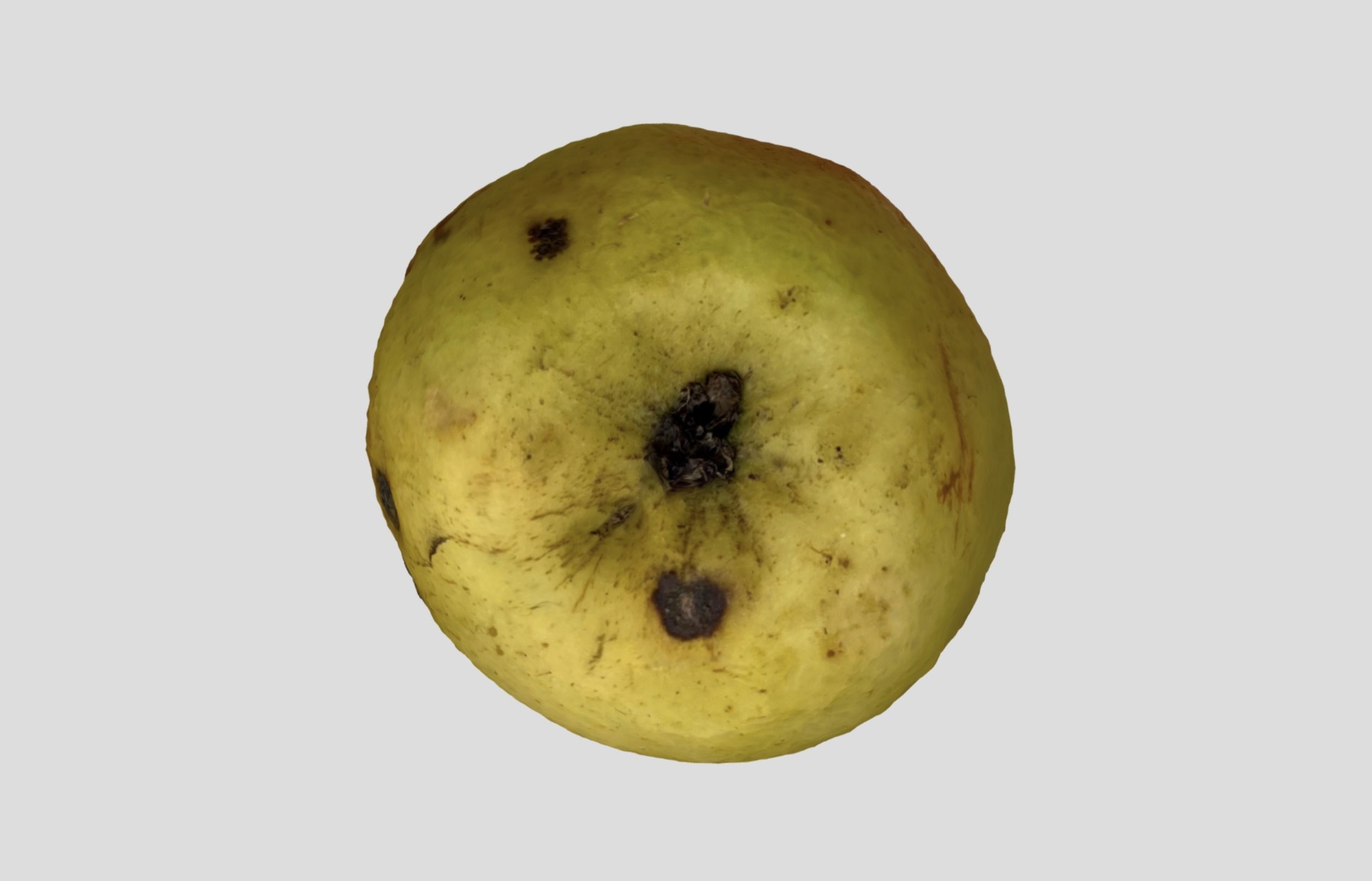 Rotten Apple 3D model_8