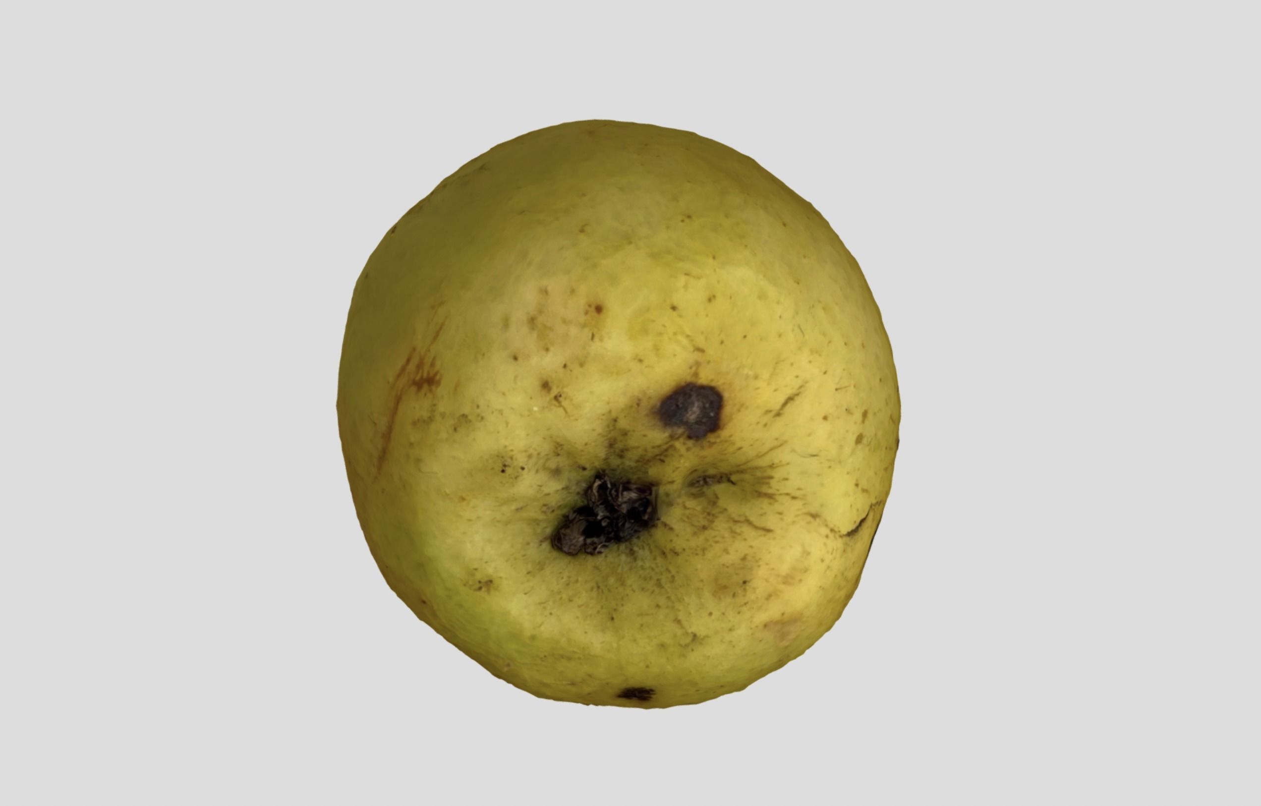 Rotten Apple 3D model_12