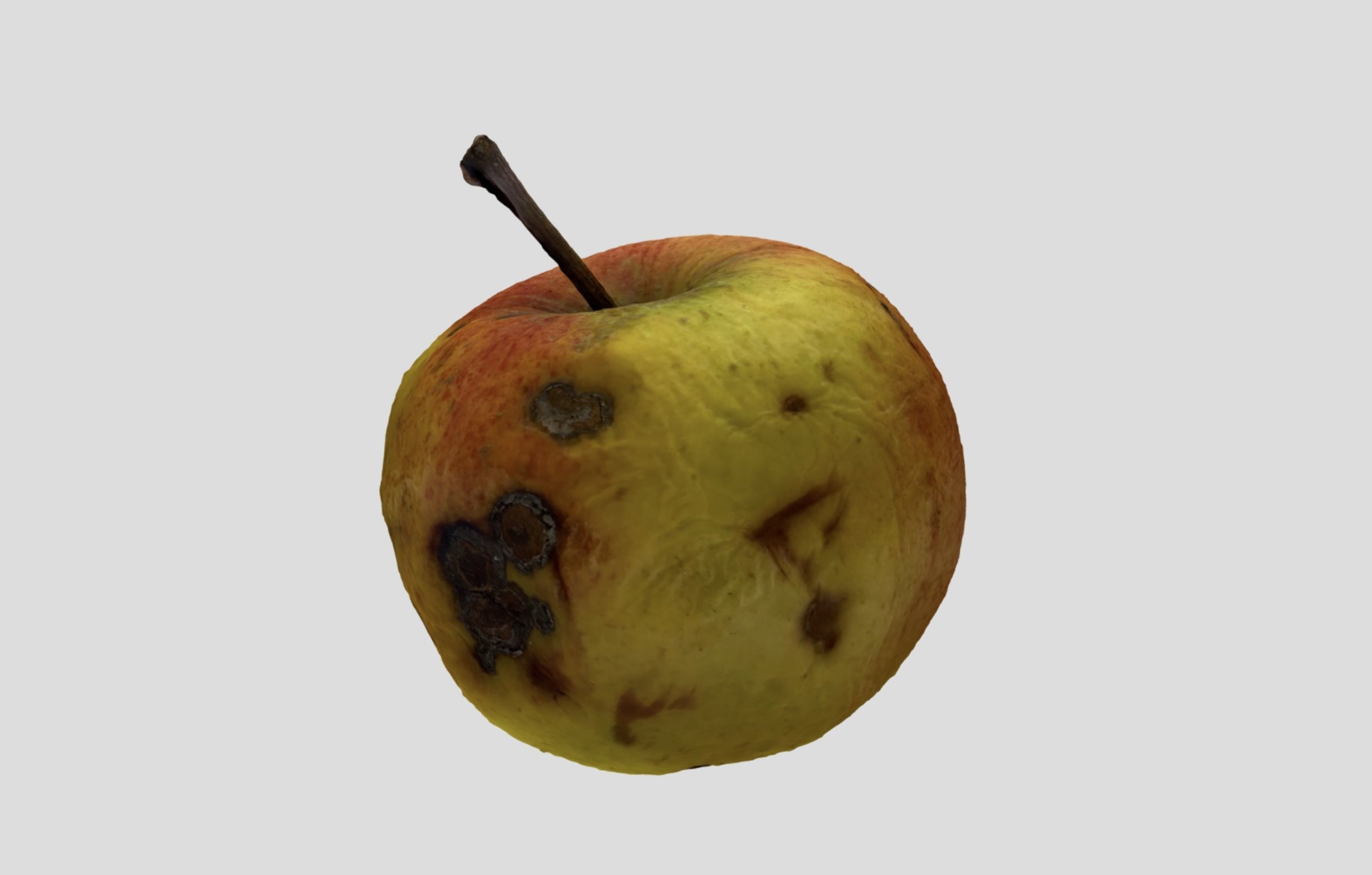 Rotten Apple 3D model_13