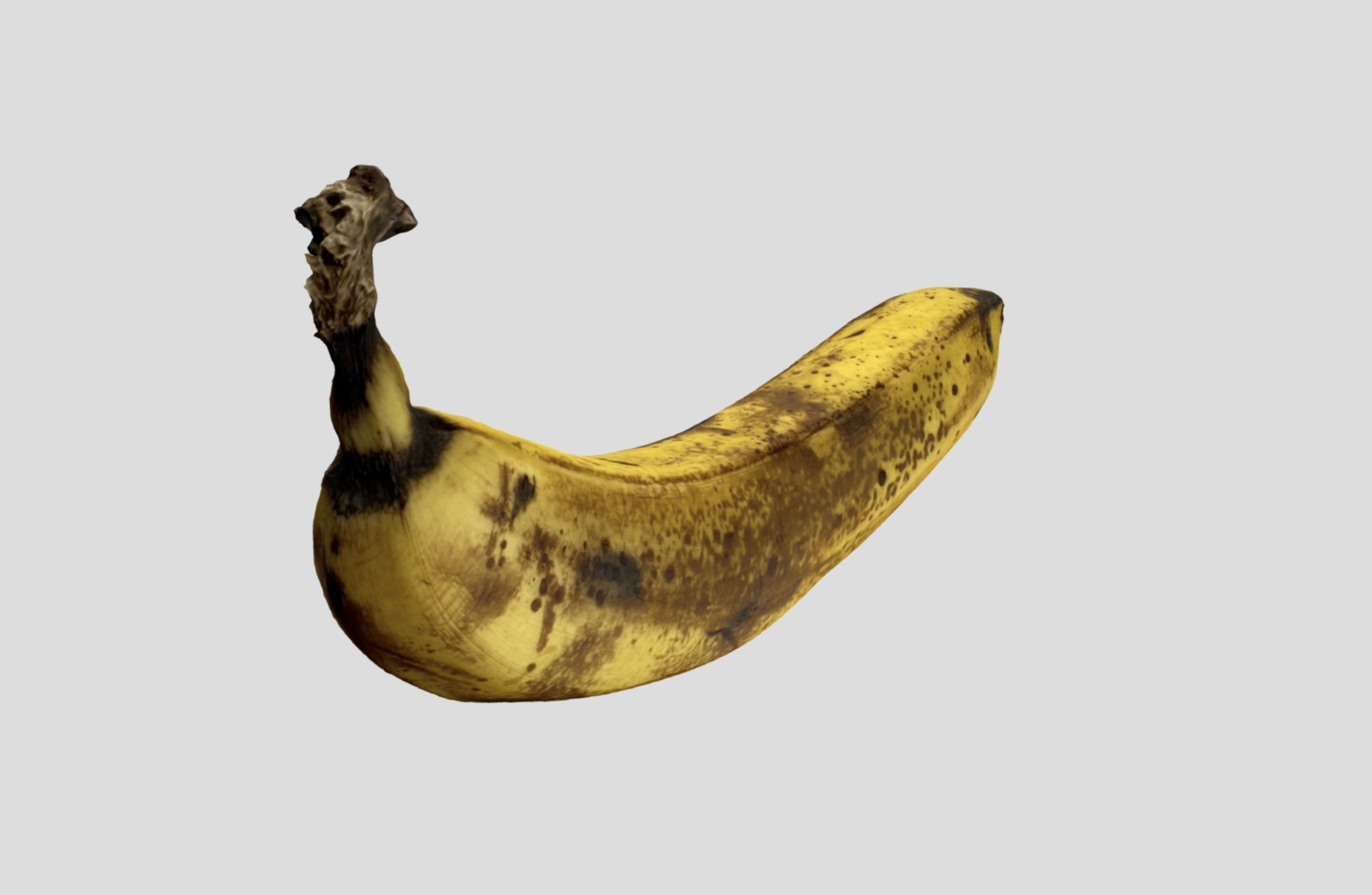 Overripe Banana - Photorealistic Model 3D model_10