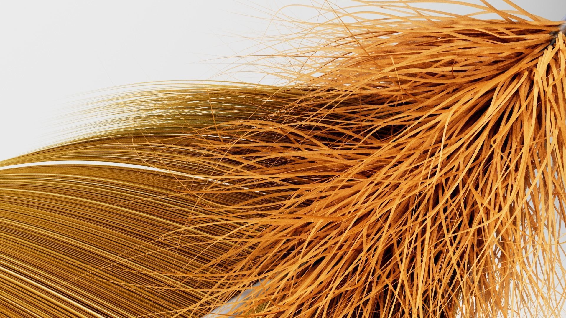 Set of 8 high quality feathers 3D model_9