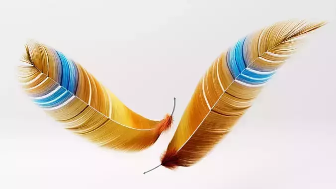 Set of 8 high quality feathers 3D model