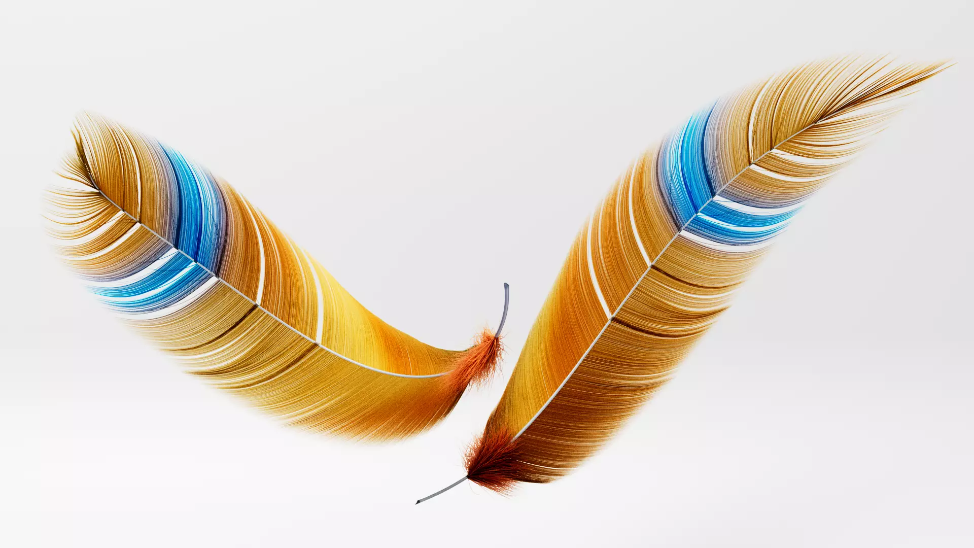 Set of 8 high quality feathers 3D model_0