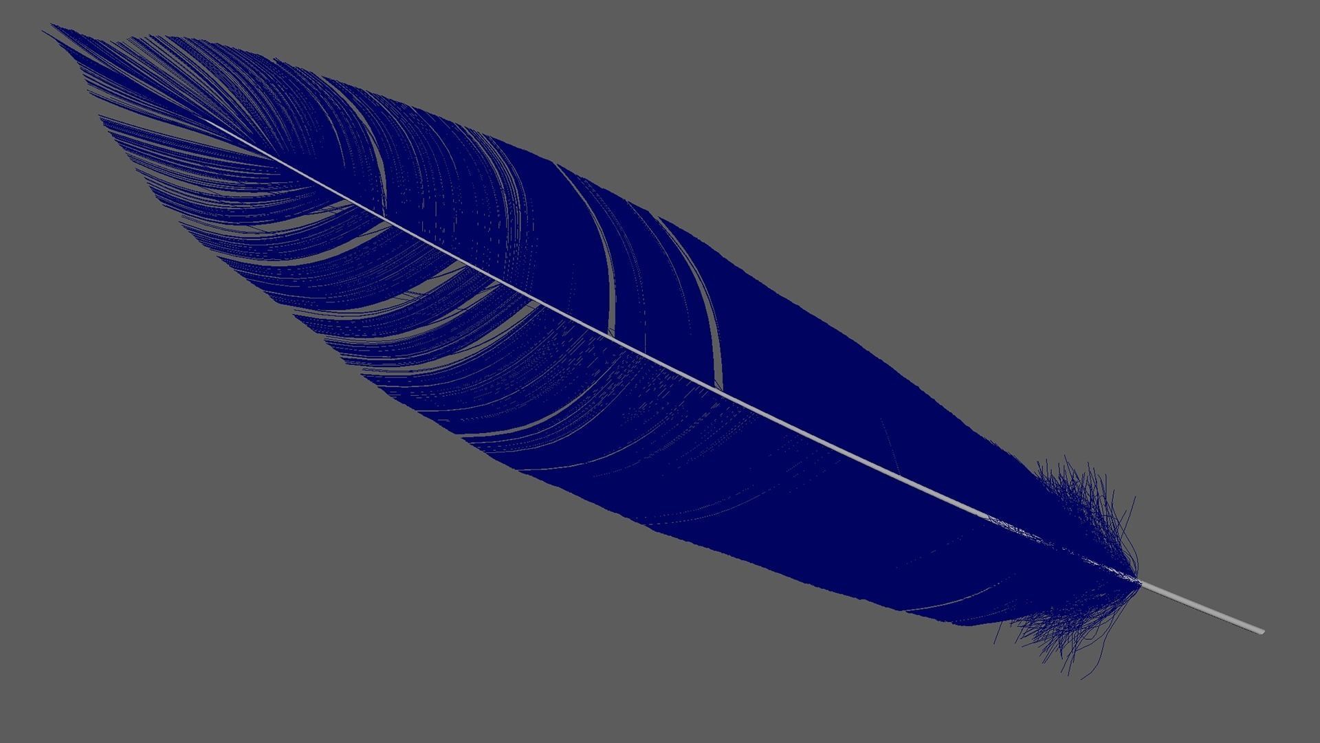 Set of 8 high quality feathers 3D model_11