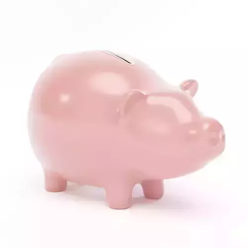 Piggy Bank