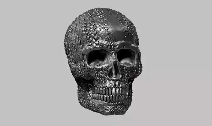 skull snake skin a01