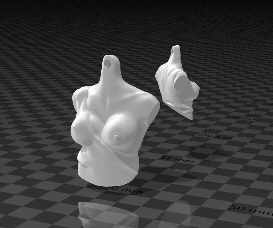 A KeyChain Pair of Boobs - Torso 3D print model_0