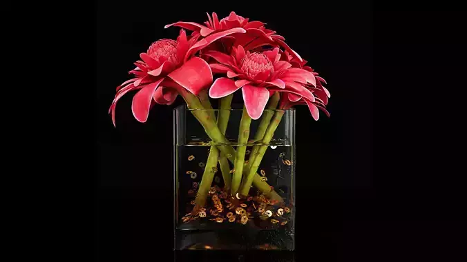Plant 29 3D model