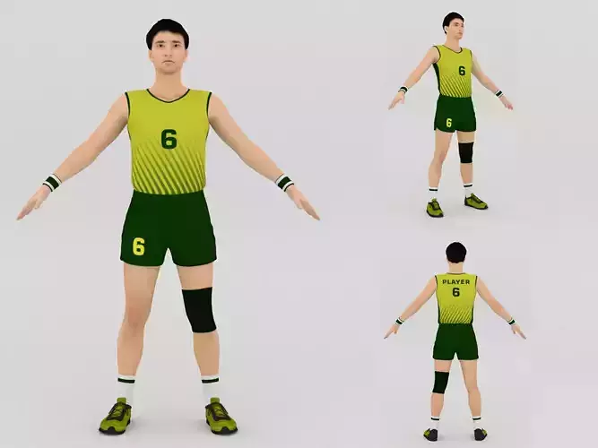 Volleyball Player V1