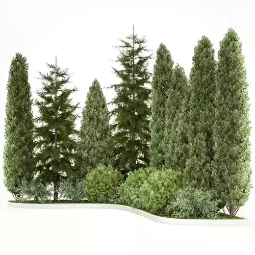 Garden of thuja and cypress trees with bushes 1153