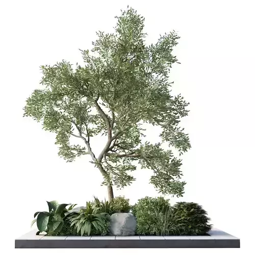 Plants Garden Outdoor plant Collection 140