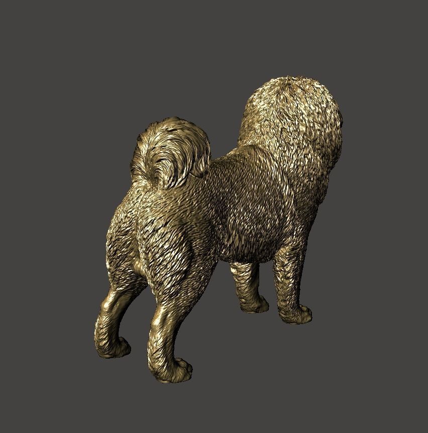 Tibetan Mastiff 3D model 3D printable | CGTrader