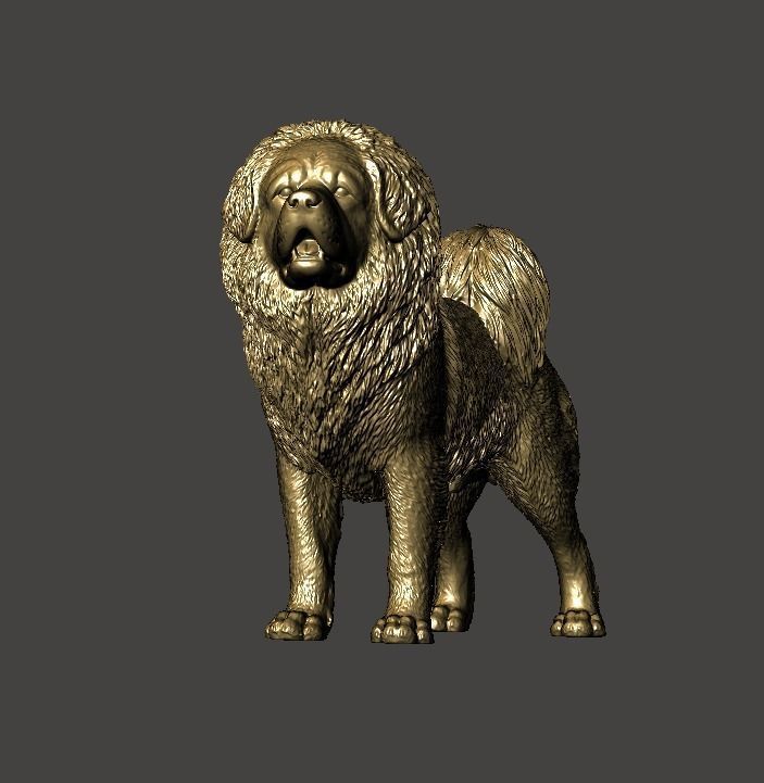 Tibetan Mastiff 3D model 3D printable | CGTrader