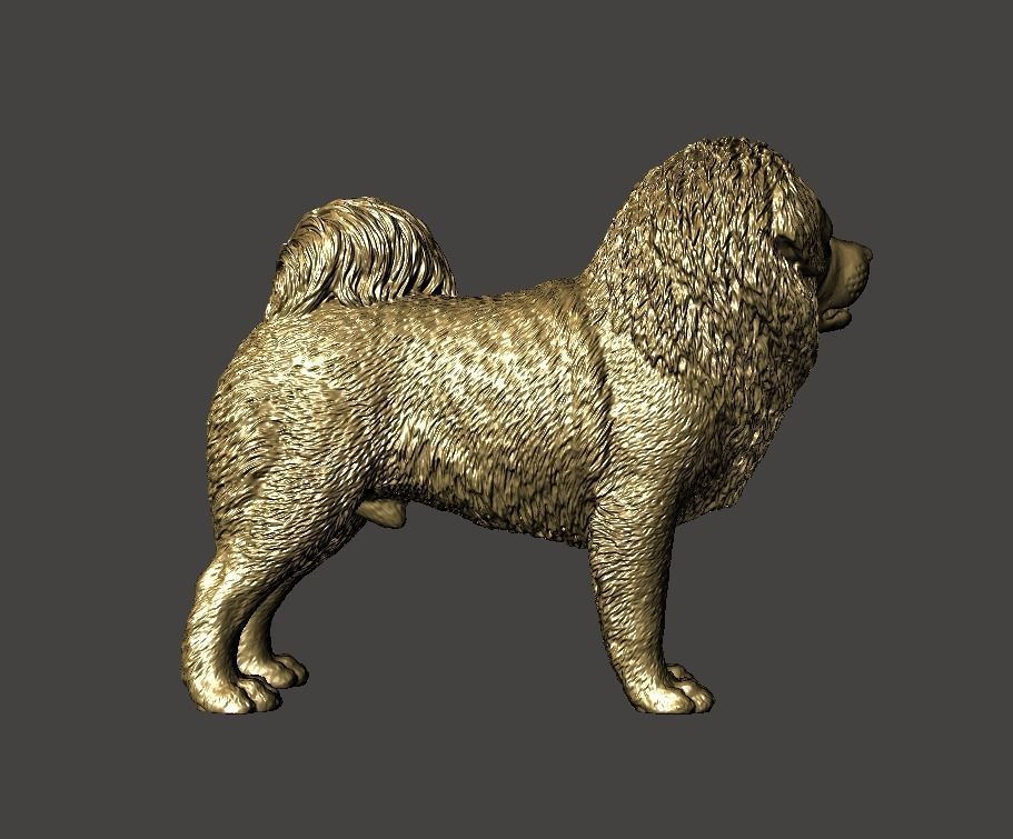 Tibetan Mastiff 3D model 3D printable | CGTrader