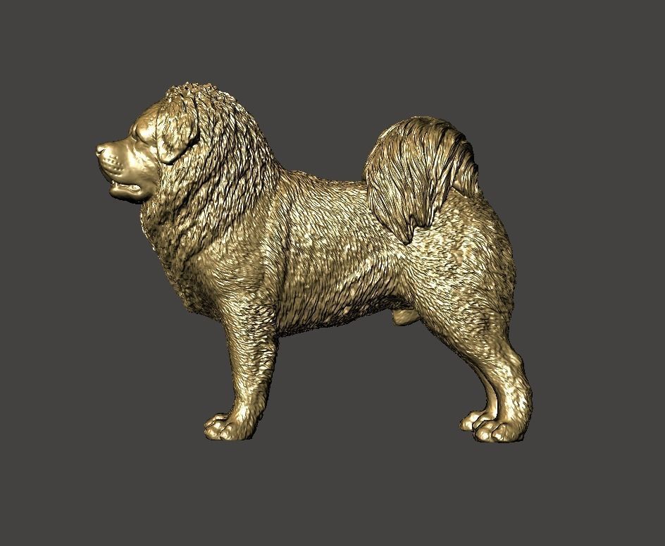 Tibetan Mastiff 3D model 3D printable | CGTrader