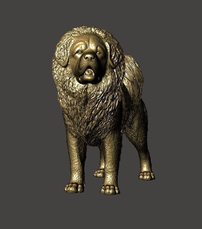 Tibetan Mastiff 3D model 3D printable | CGTrader