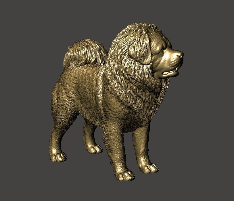 Tibetan Mastiff 3D model 3D printable | CGTrader