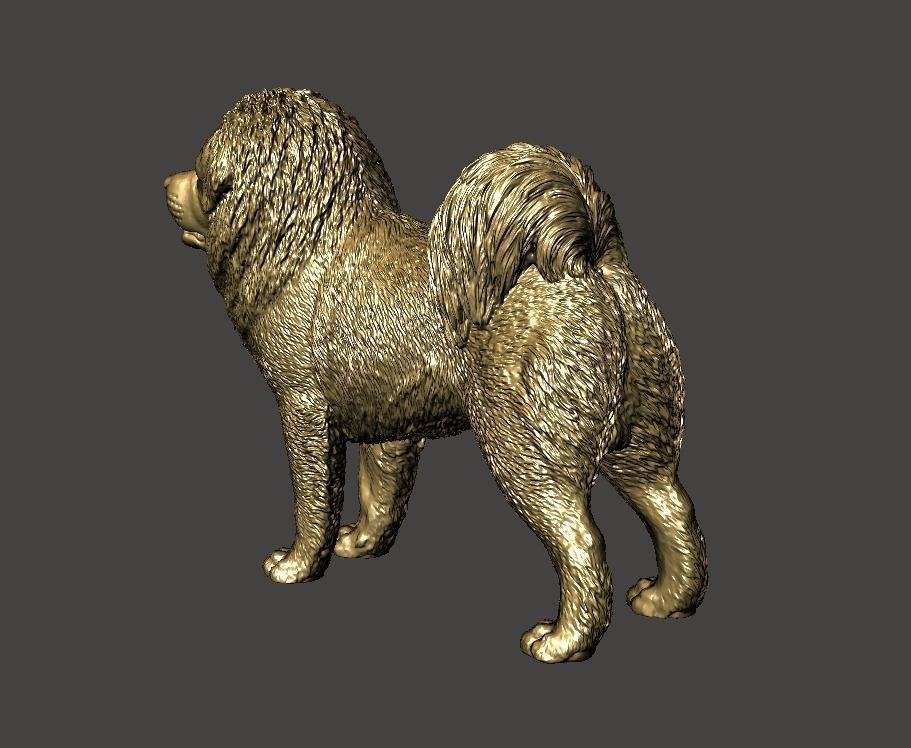 Tibetan Mastiff 3D model 3D printable | CGTrader