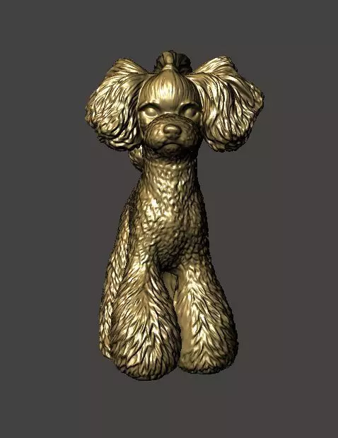 Toy Poodle 3 No Collar 3D print model