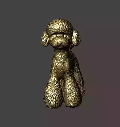 Toy Poodle 2 No Collar 3D print model