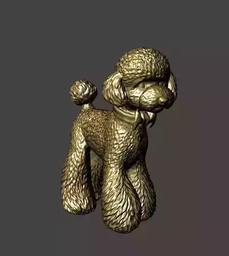 Toy Poodle 2 3D print model