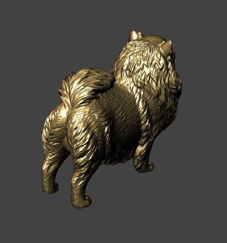 Pomeranian Dog - Pom Pom 3D print model_2