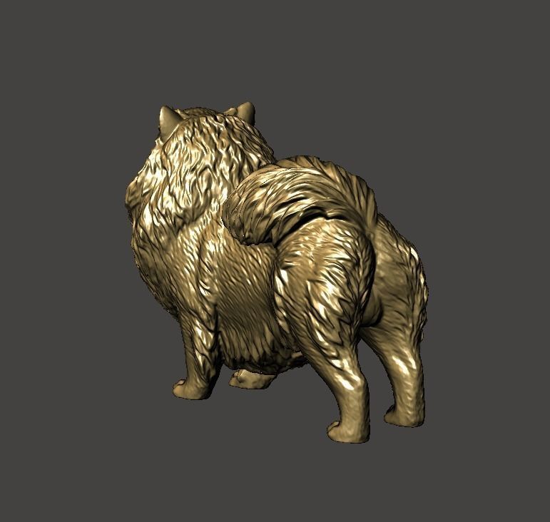 Pomeranian Dog - Pom Pom 3D print model_3