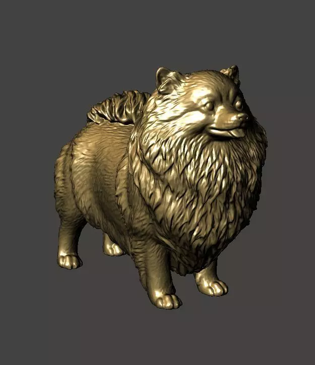 Pomeranian Dog - Pom Pom 3D print model_0